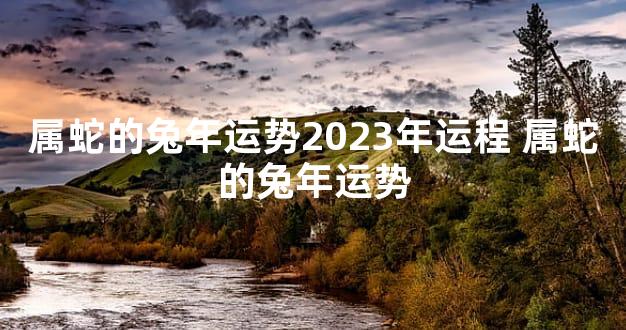 属蛇的兔年运势2023年运程 属蛇的兔年运势